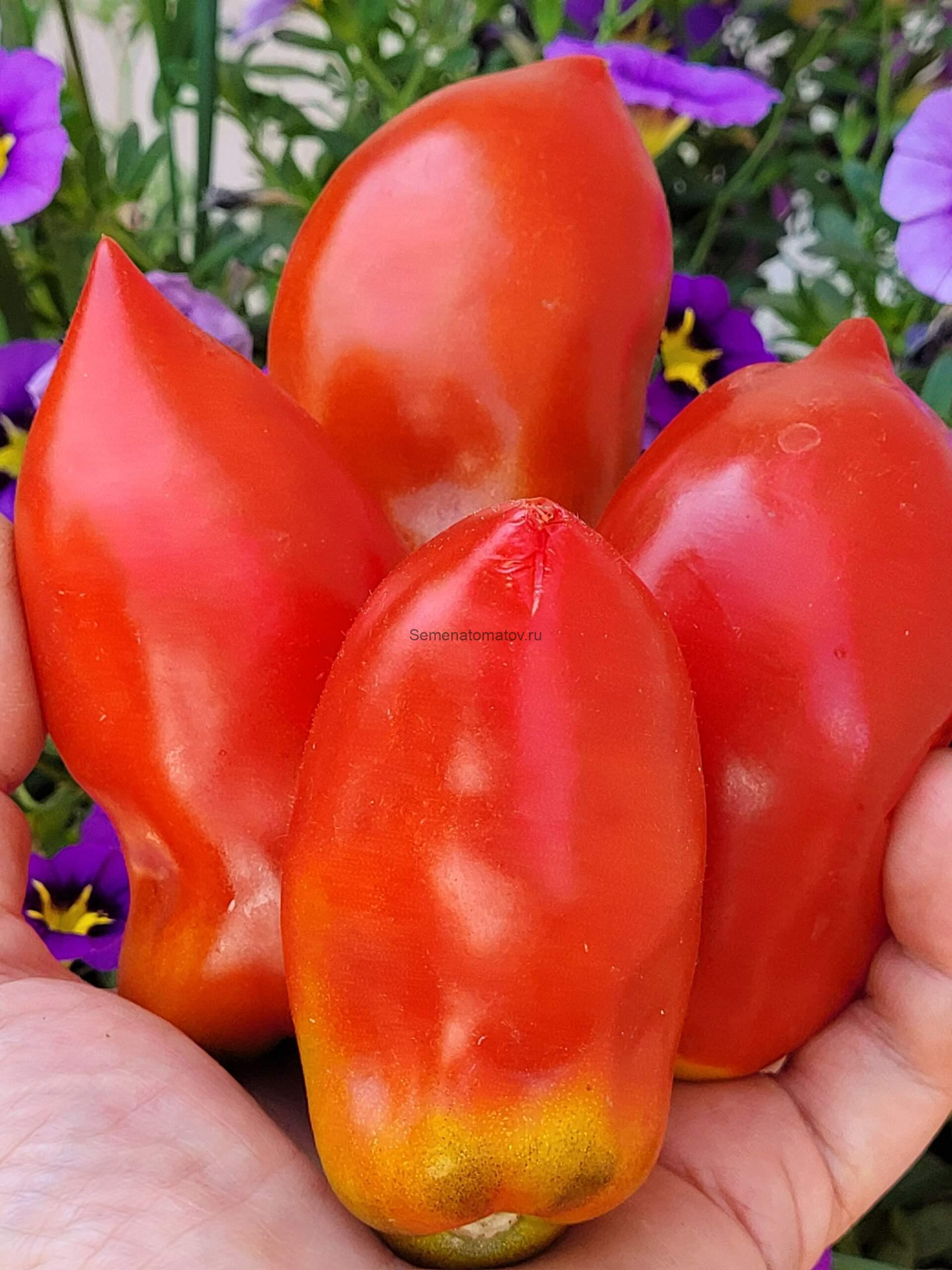 Пышногрудая блондинка Osu o Blonde Avec Tetons