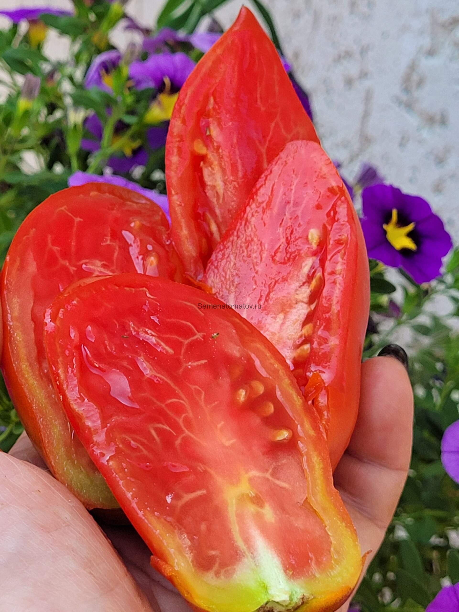 Пышногрудая блондинка Osu o Blonde Avec Tetons — изображение 2