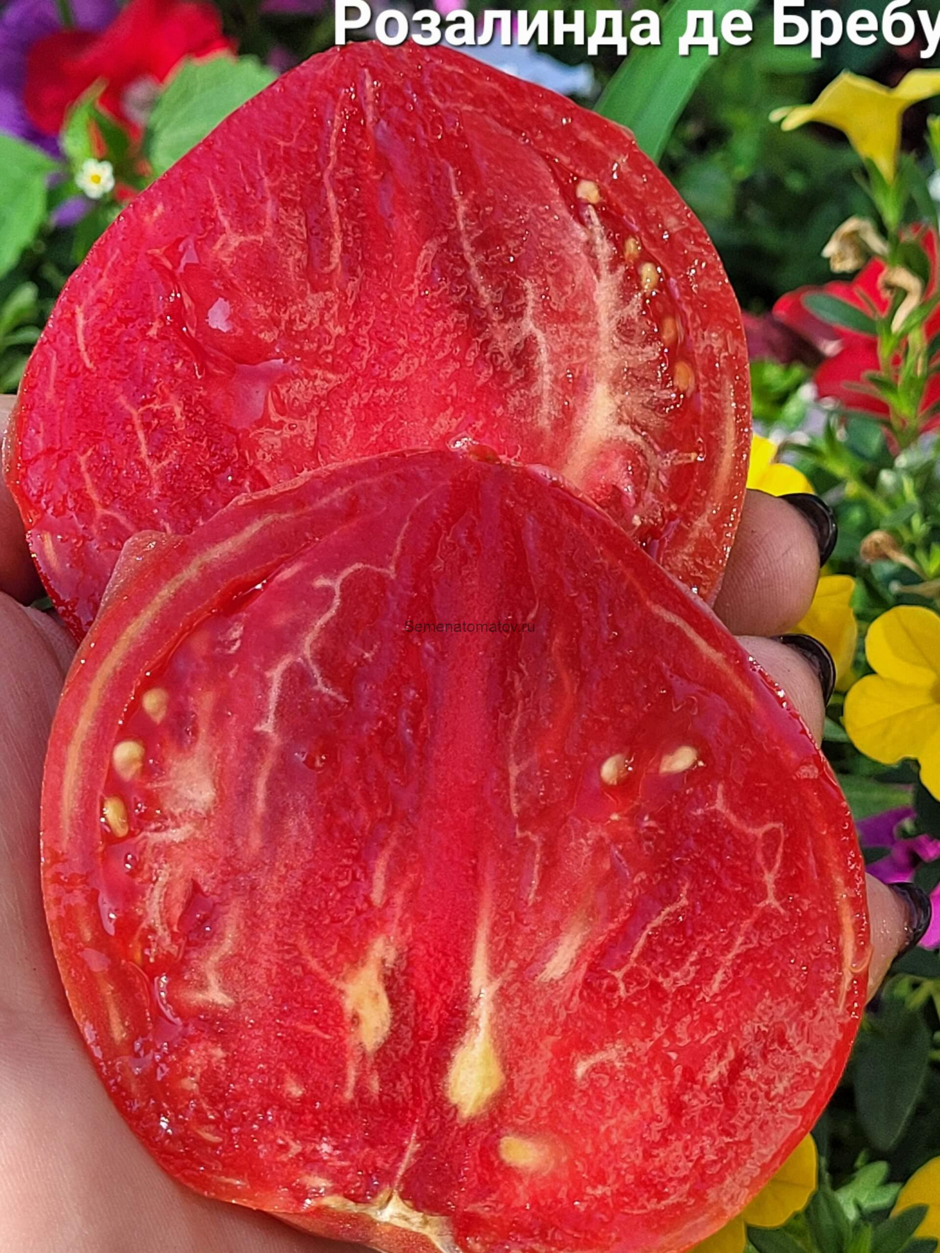 (Rozalinda de Brebu) Розалинда де Бребу, Румыния — изображение 2