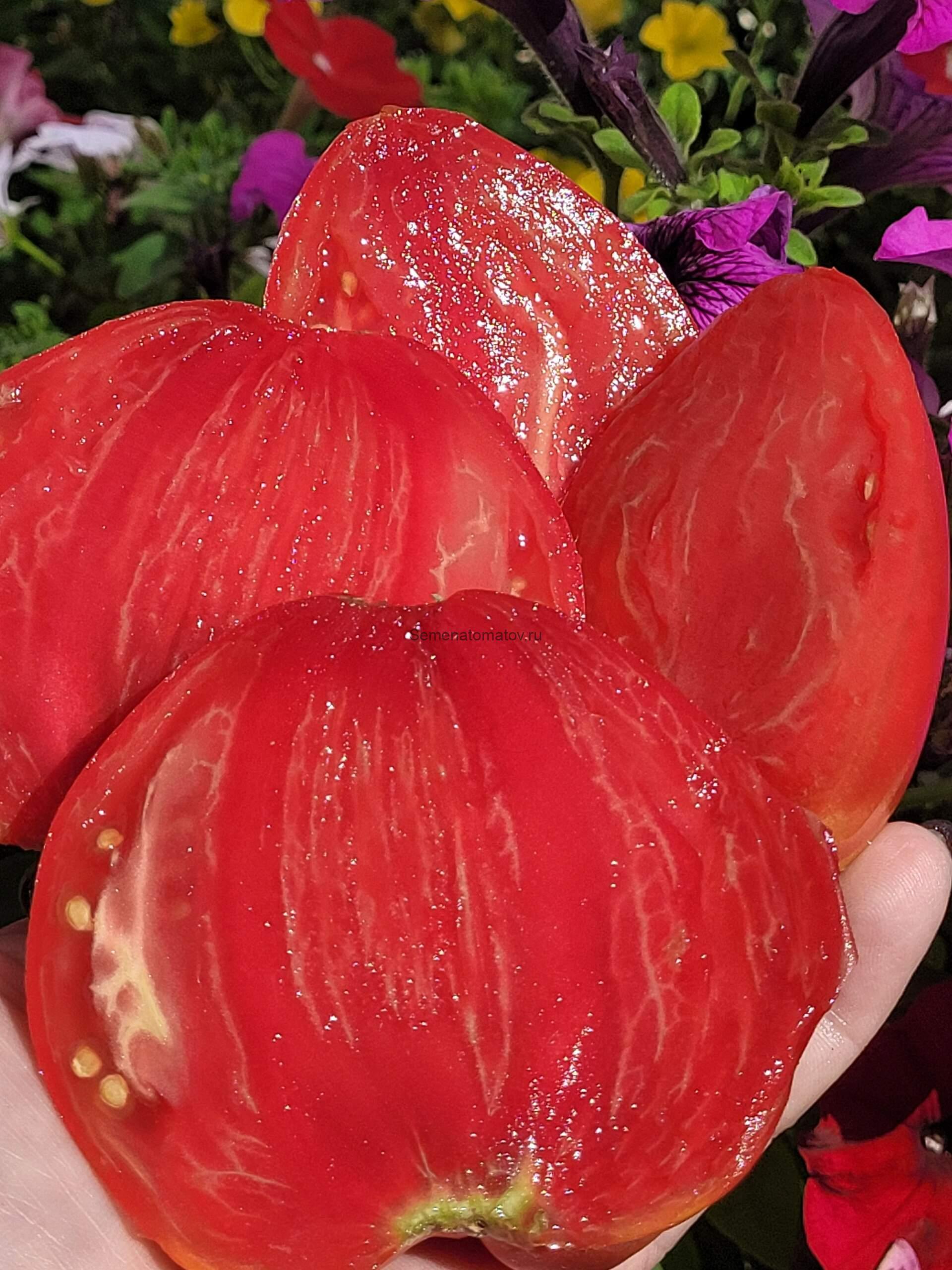 Розовый Делис Pink Delice 1.8м среднеспелый 300-400гр — изображение 4