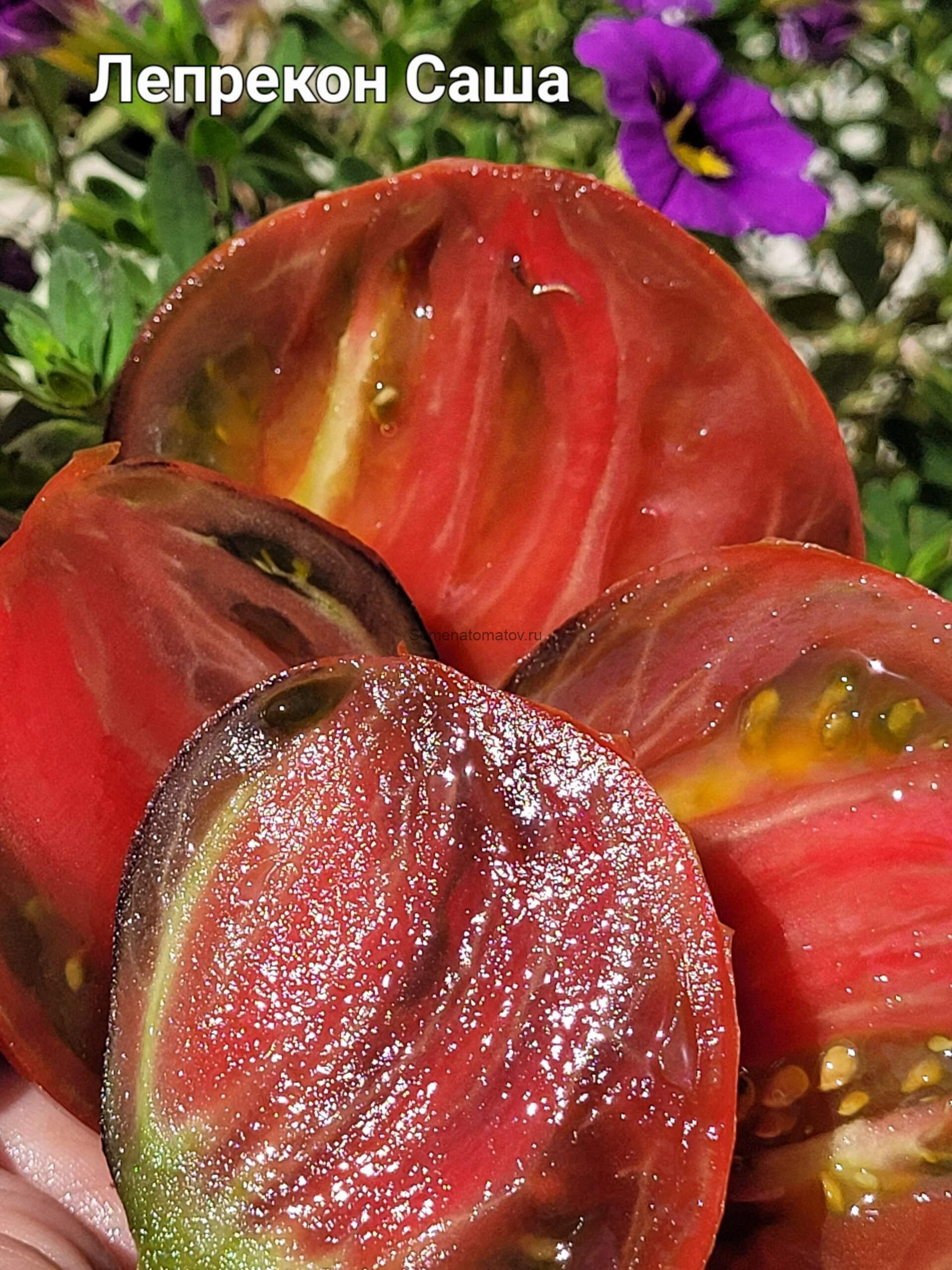 Leprechaun Sasha / Лепрекон Саша 1м среднеспелый 150-300гр — изображение 2