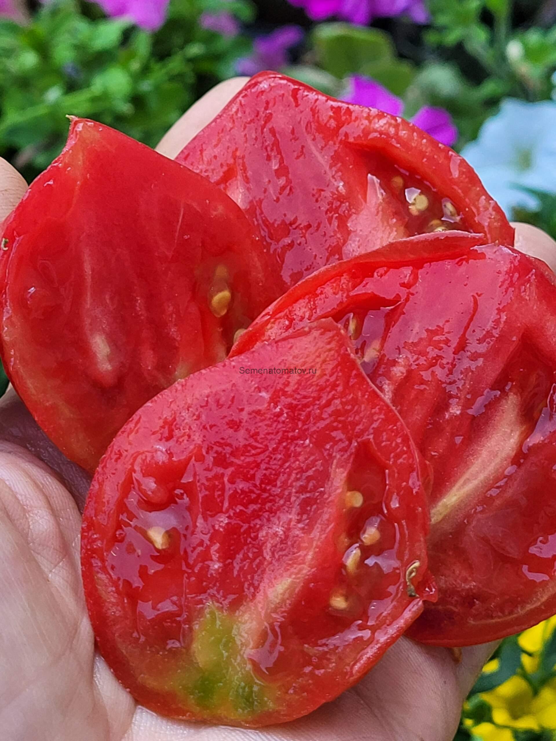 Max's heart - Сердце Макса — изображение 2