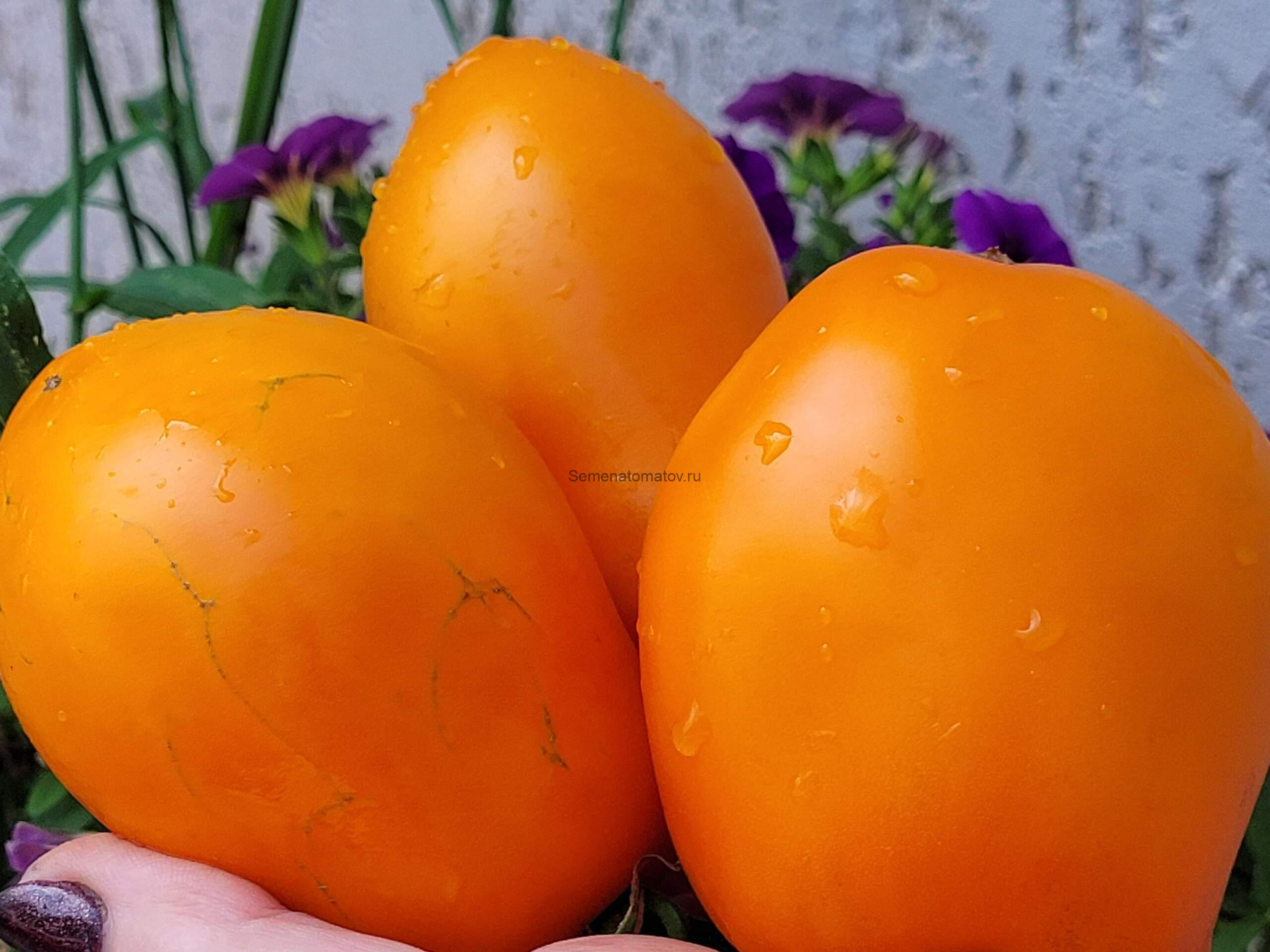 Стаканы Минусинские оранжевые