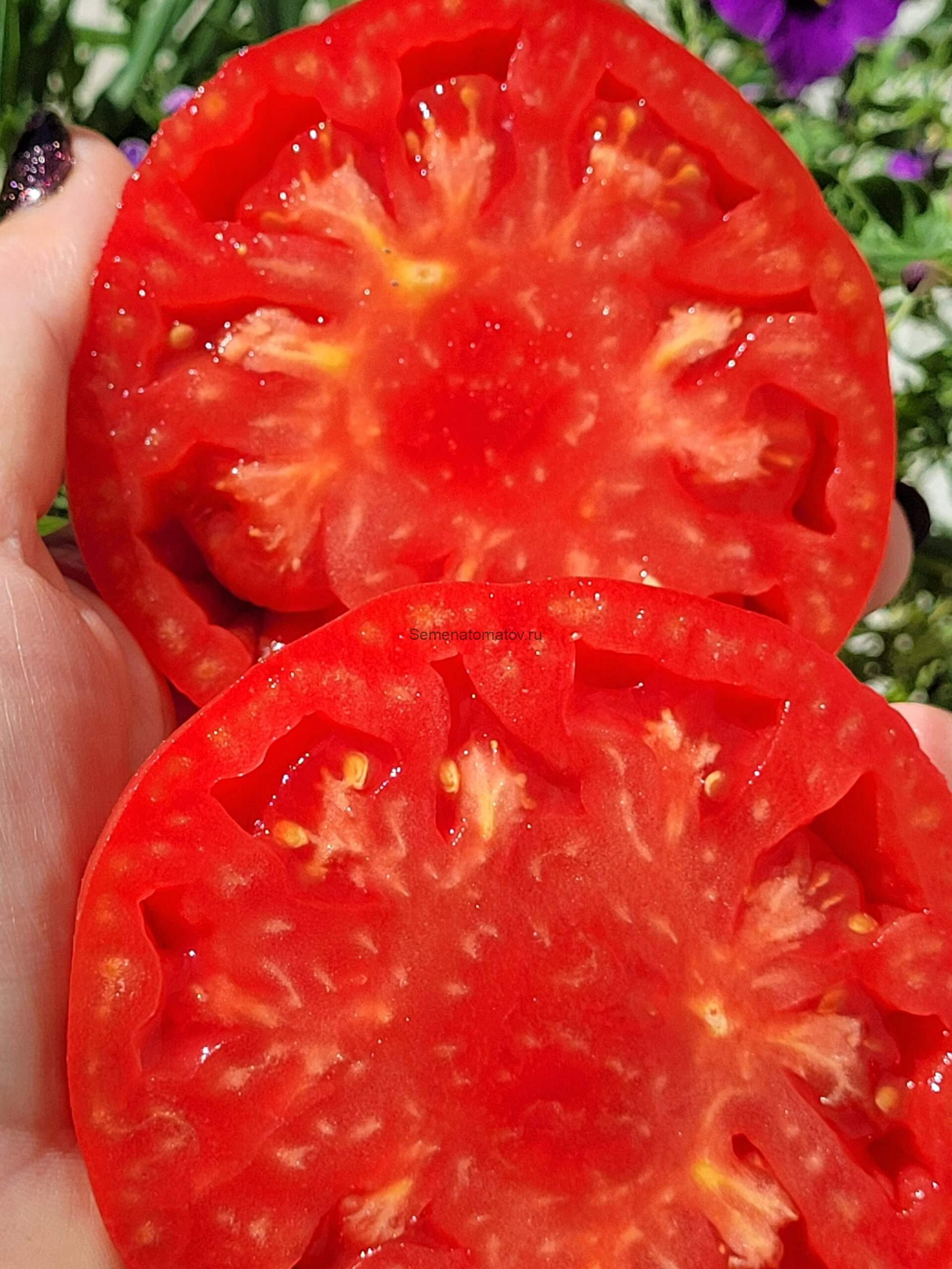 Бычье Сердце Супер Марв ( Super Marv Oxheart) — изображение 2