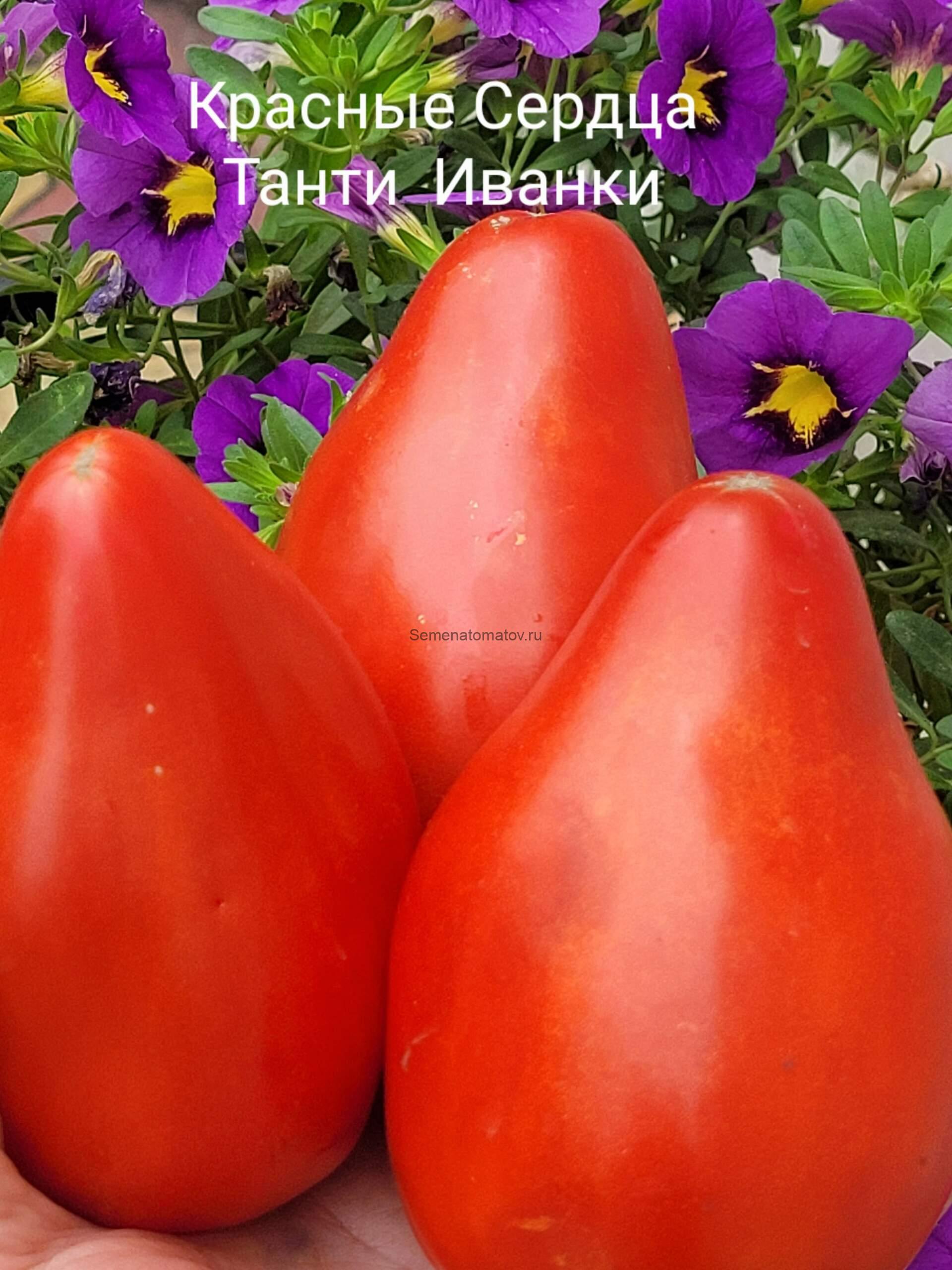 Красное Сердце Танти Иванка INIMA ROSIE TANTI IVANCA