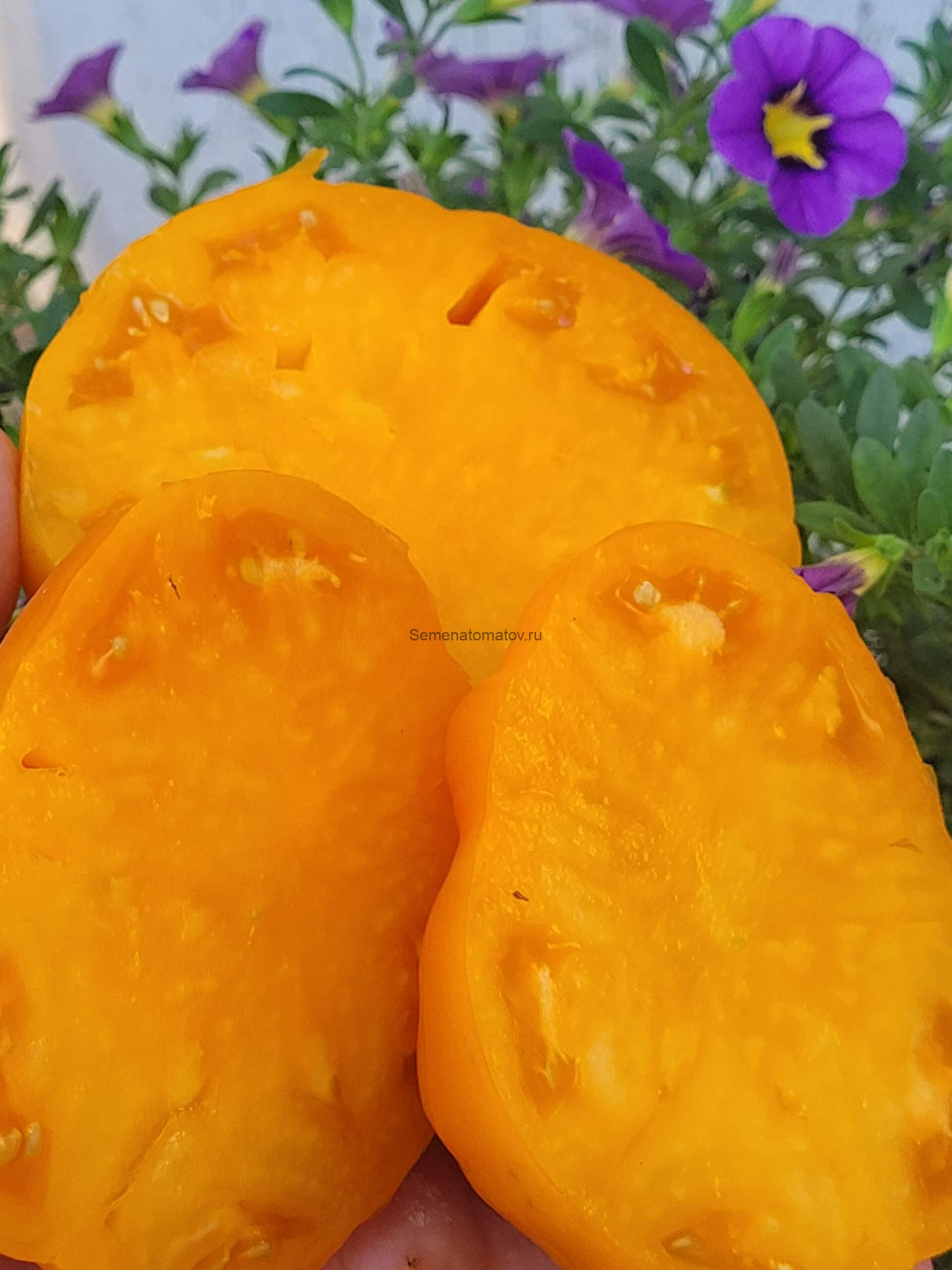 Dolofane de Tismana galben (Пухлые Тисмана желтые), Румыния — изображение 2