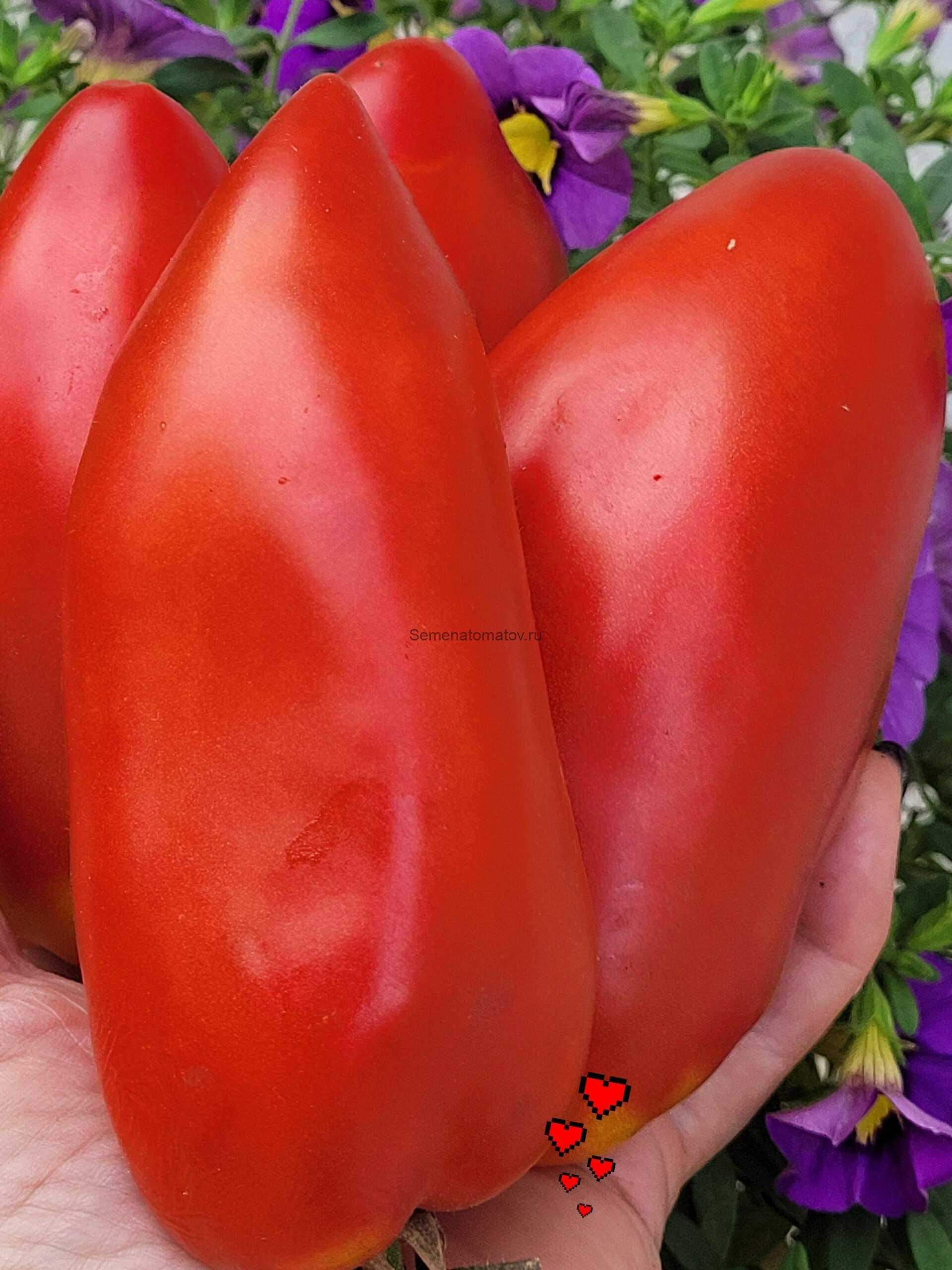 Fetterman Red Devils ( Красные дьяволы Феттермана), Франция — изображение 2