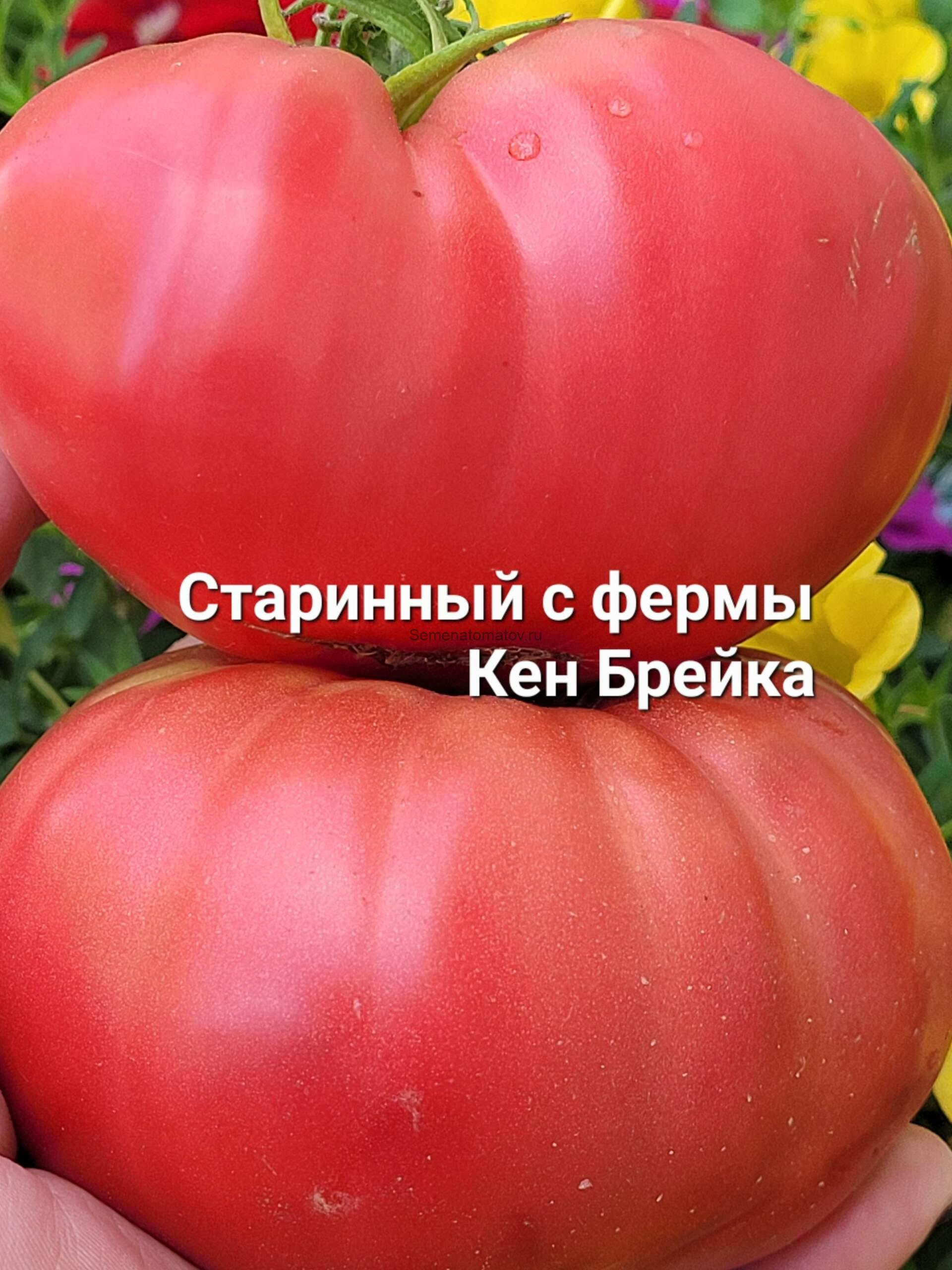 Старинный Фермерский Кейн Брейка — изображение 3