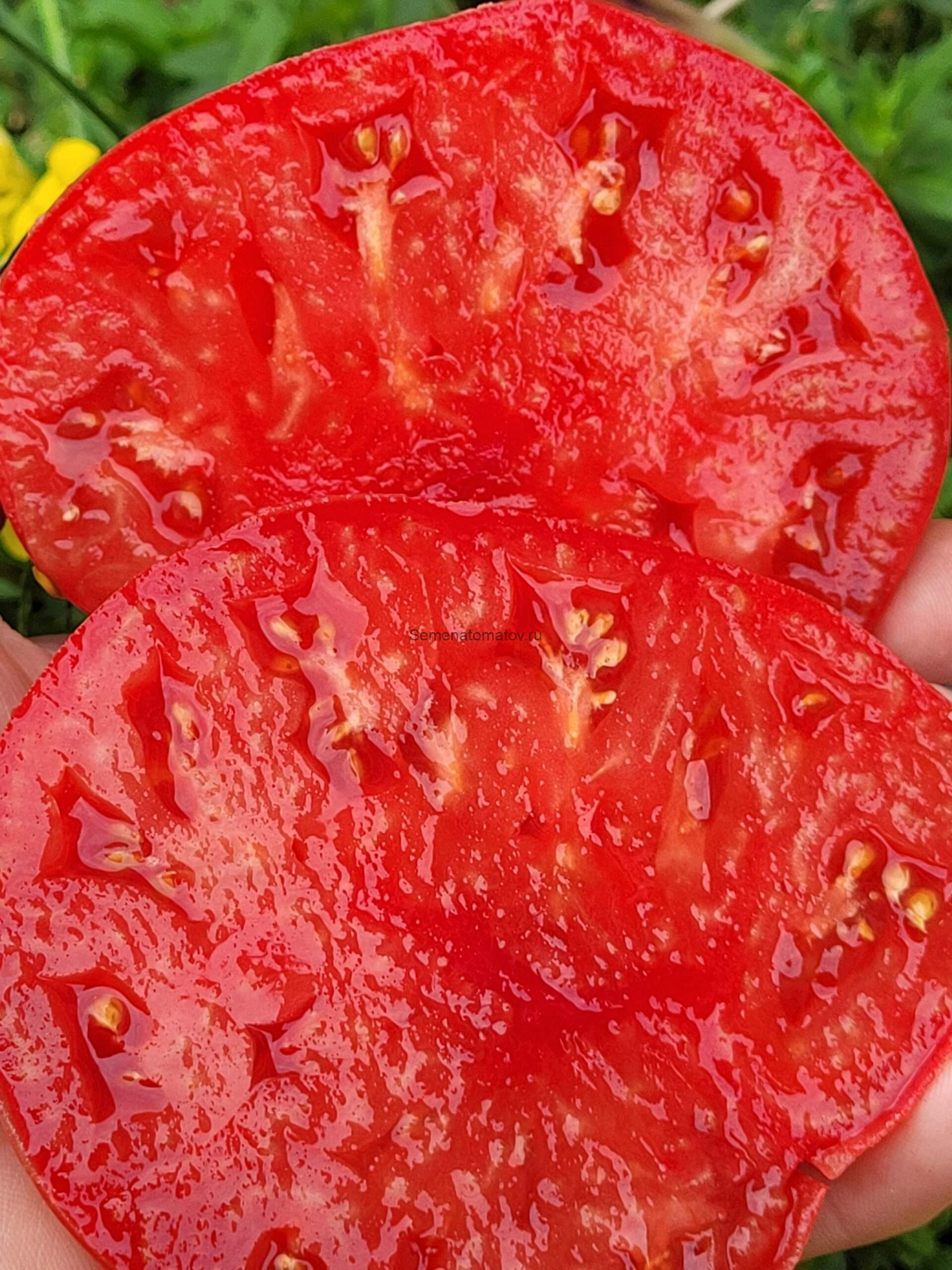 Старинный Фермерский Кейн Брейка — изображение 2