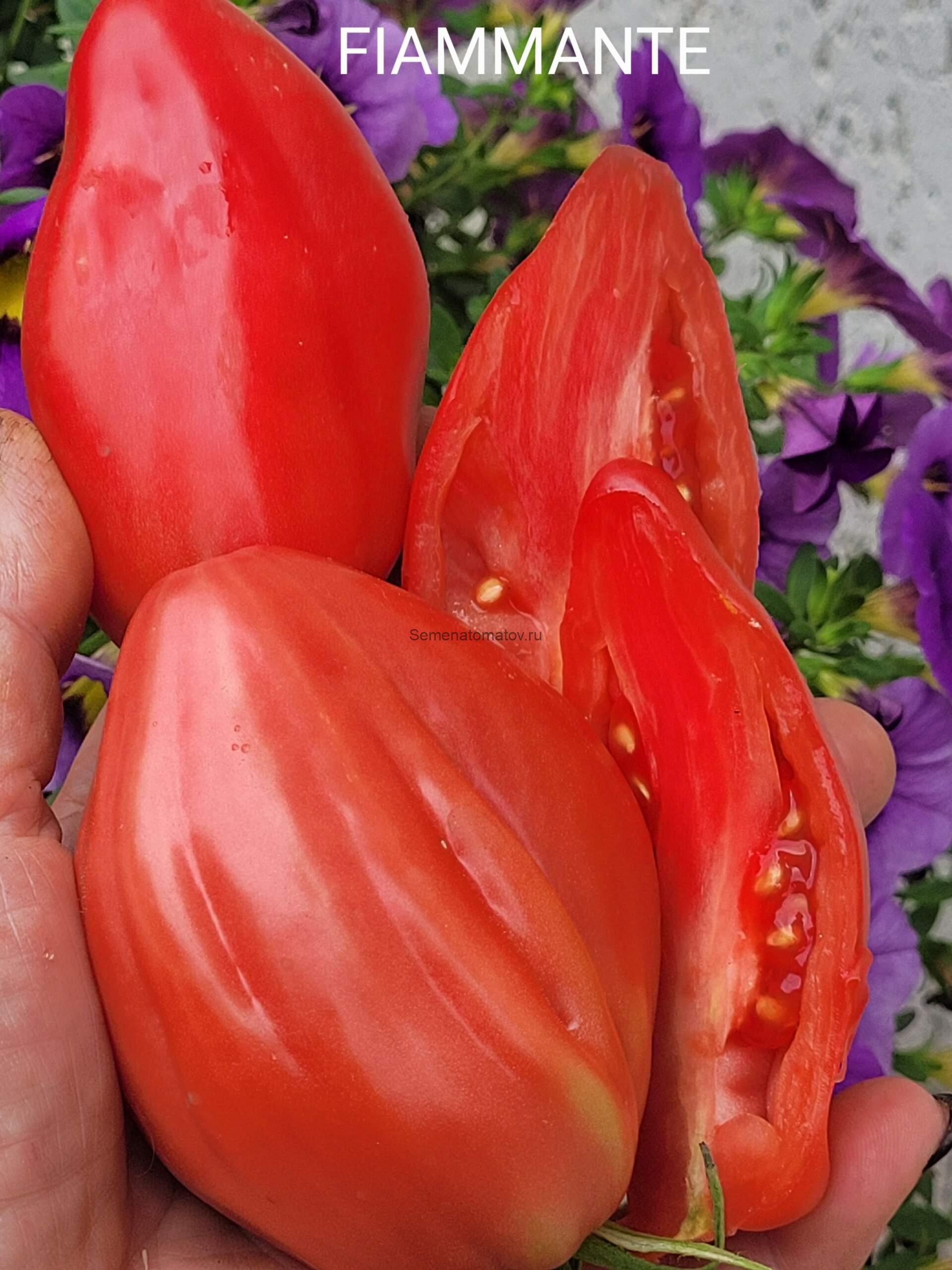 Fiammante ( Пламенный)Италия — изображение 2