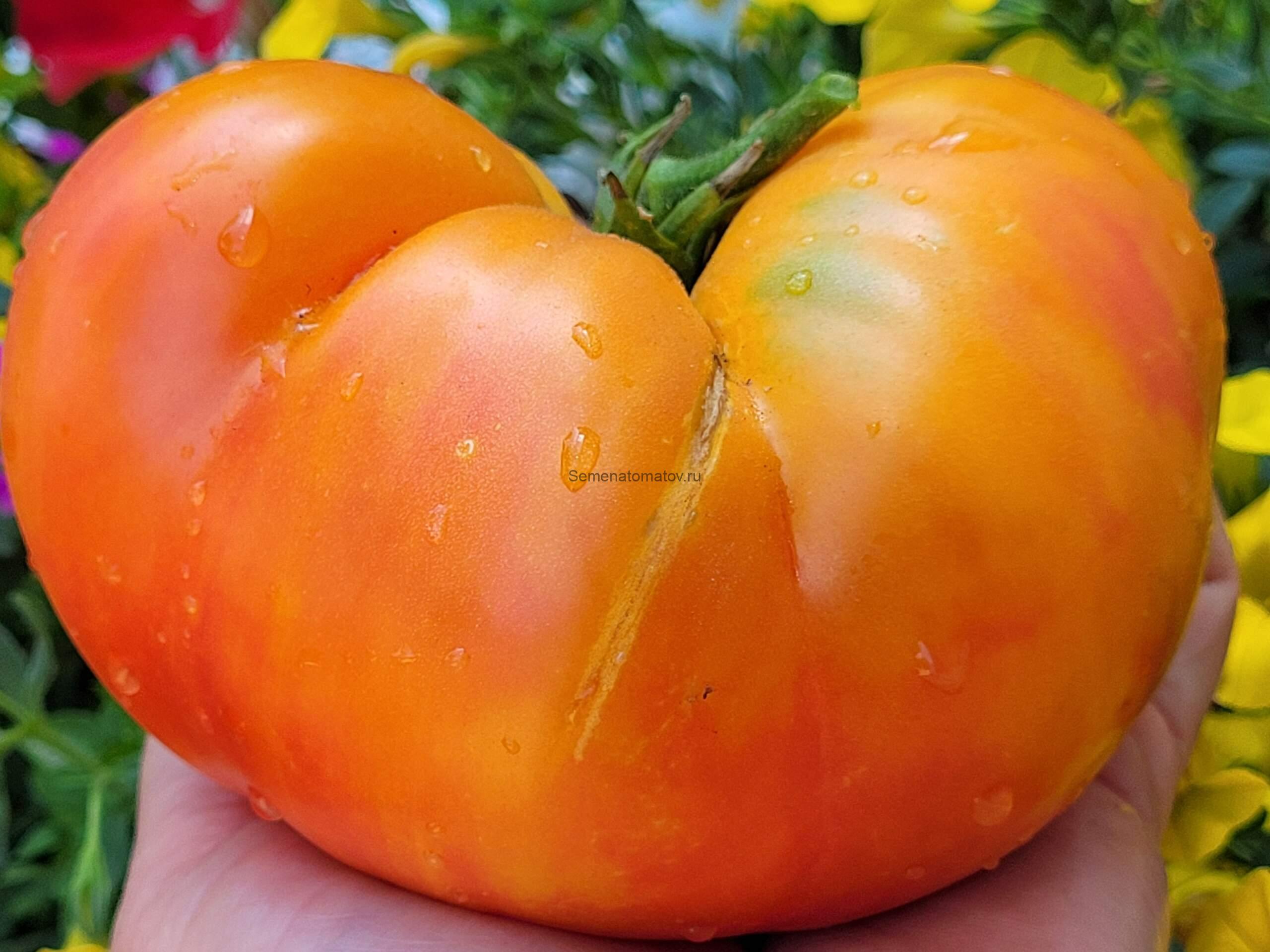 Цветочный Сироп («FLOWER SYRUP») — изображение 2