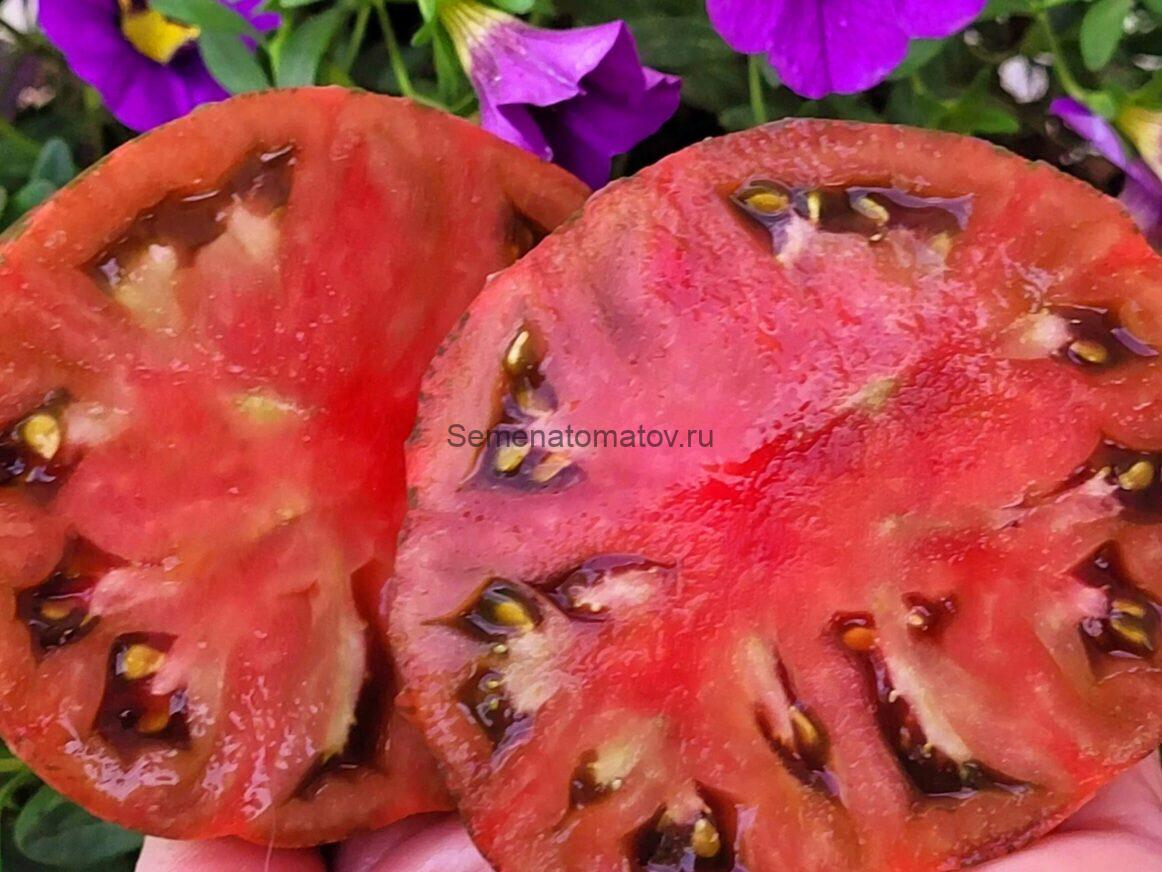 Cherokee la Palma (Чероки Ла Пальма) — изображение 2