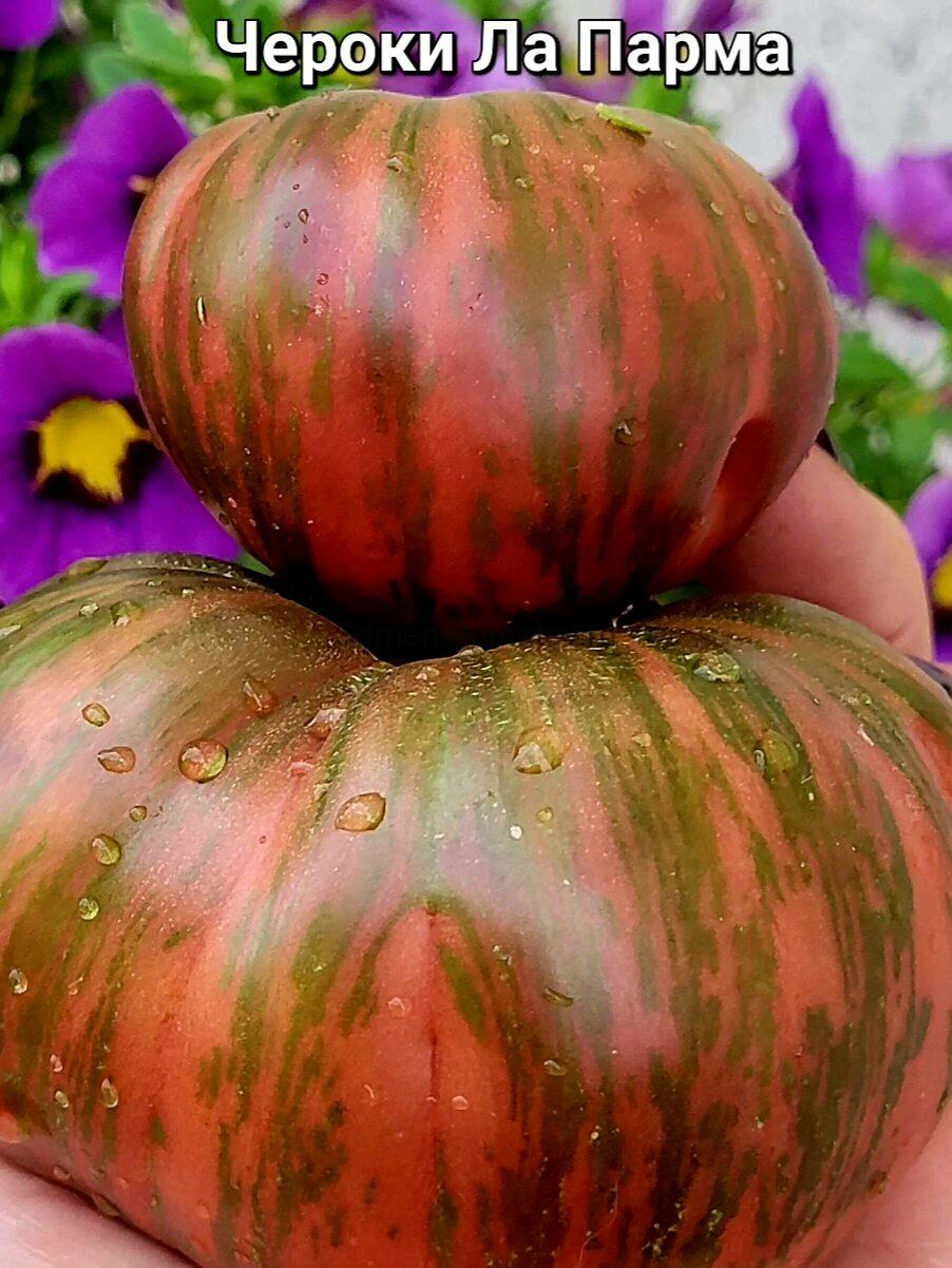 Cherokee la Palma (Чероки Ла Пальма)