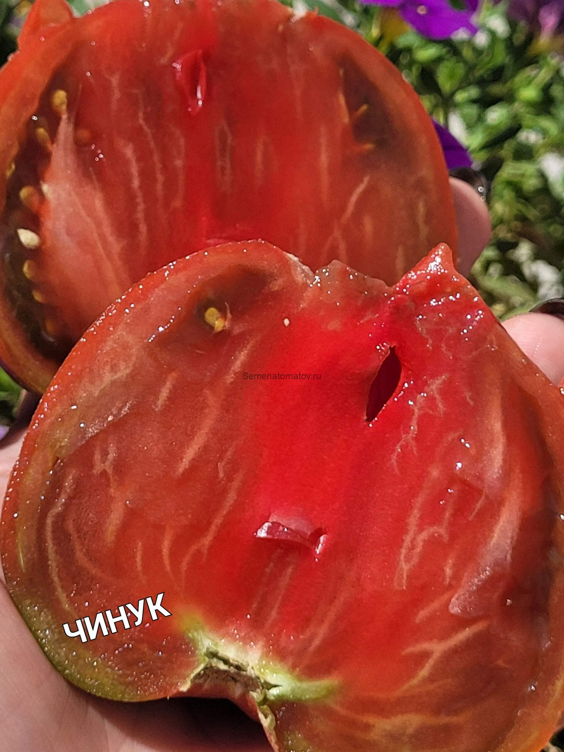 Чинук Chinook 1.8м среднеспелый 300-500гр — изображение 2