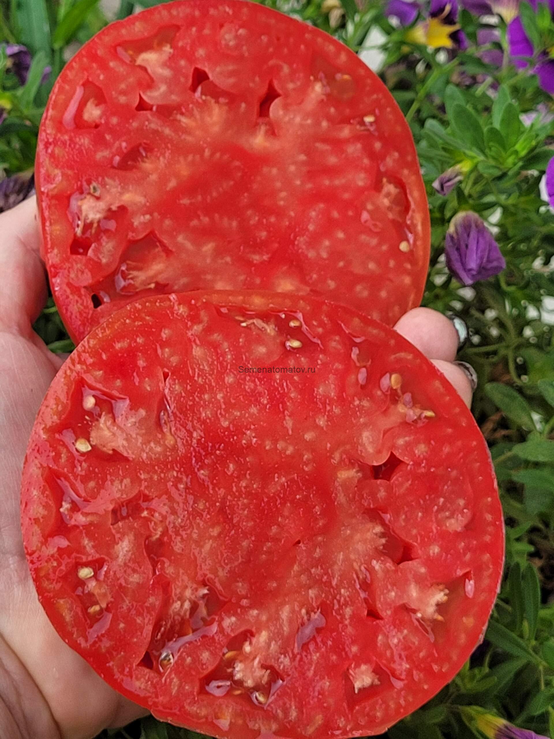 Шары Минусинские Розовые — изображение 2