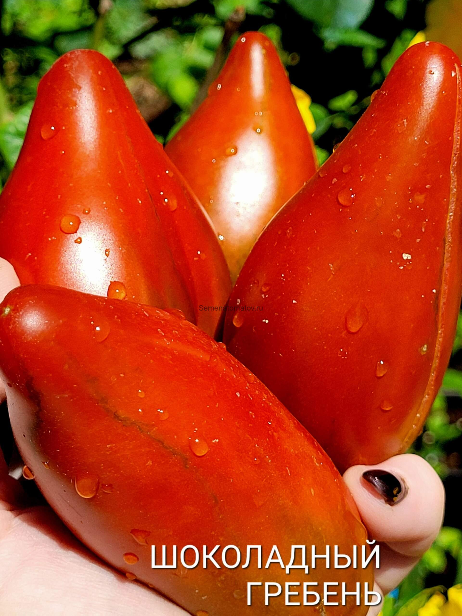 Cresta di Fuoco choco / Огненный гребень Шоколадный (Свеча)