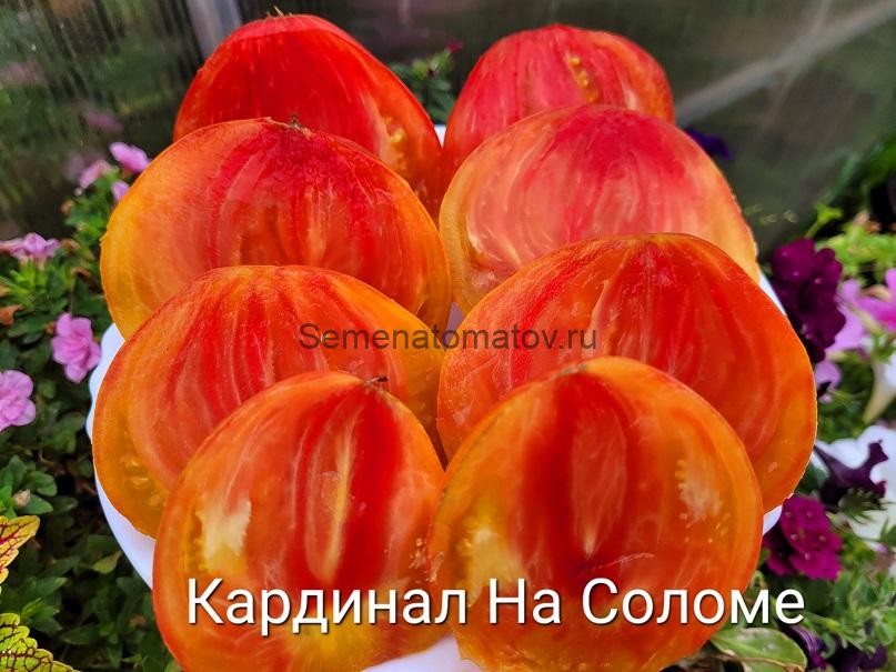 Кардинал на Соломе Полосатый — изображение 4