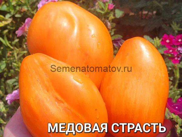 Медовая Страсть