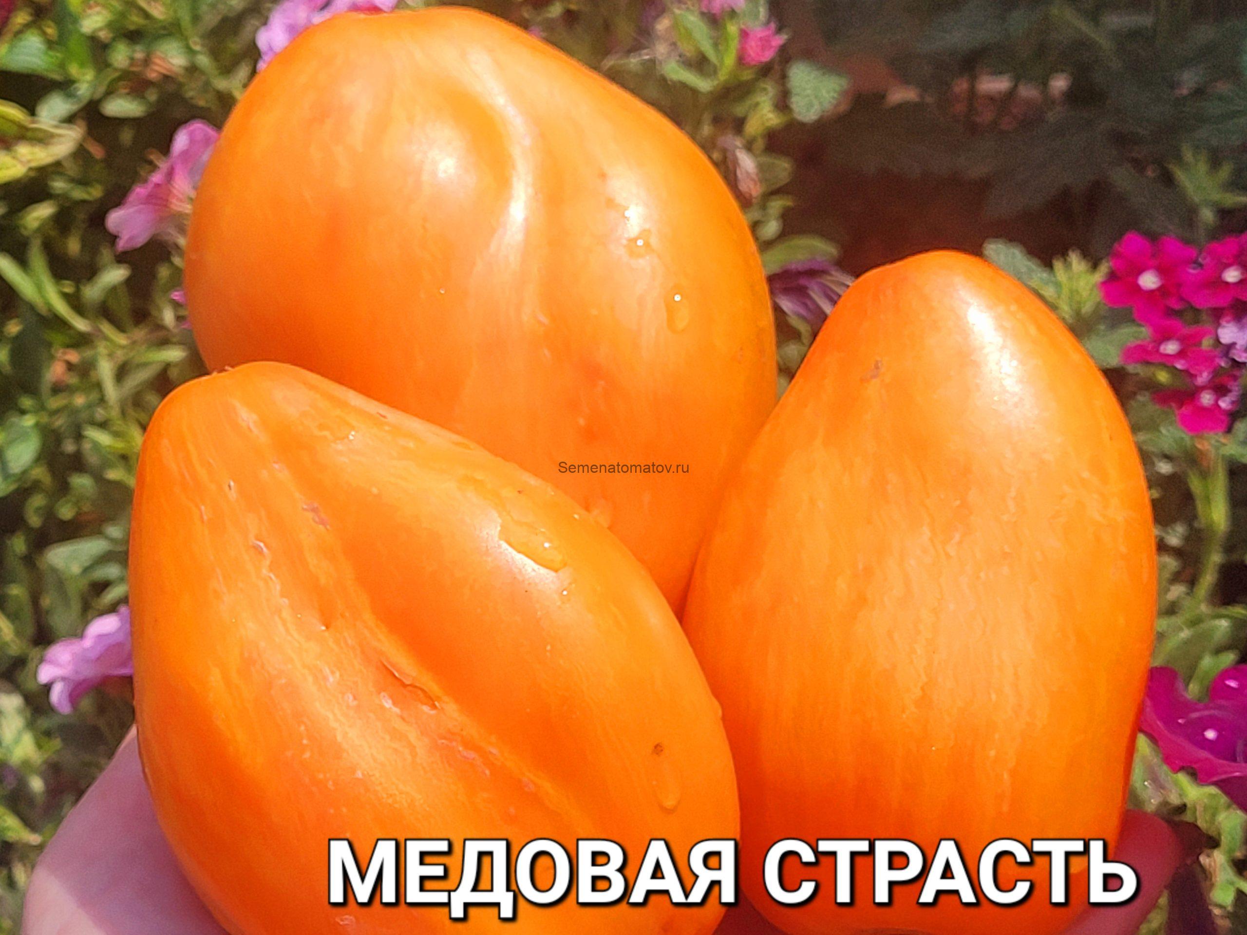 Медовая Страсть