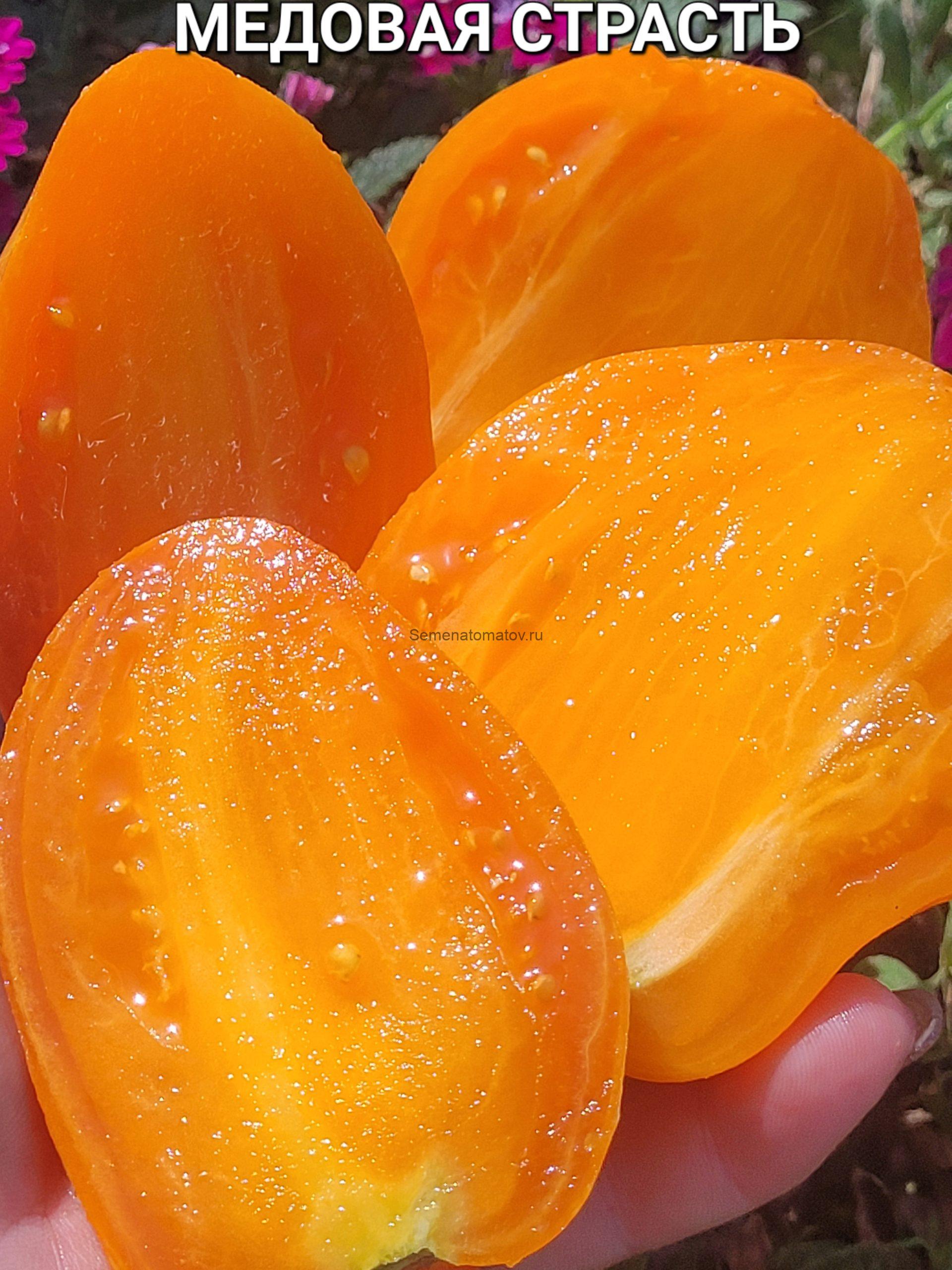 Медовая Страсть — изображение 3