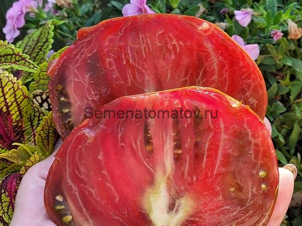 Ordinary World Обычный Мир — изображение 3