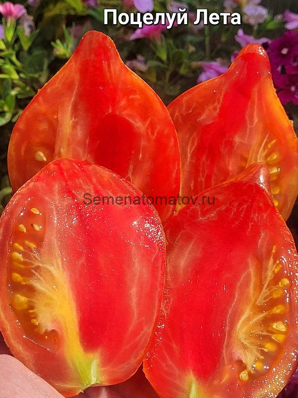 Поцелуй Лета — изображение 2