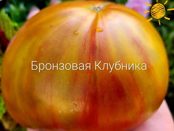 Бронзовая Клубника