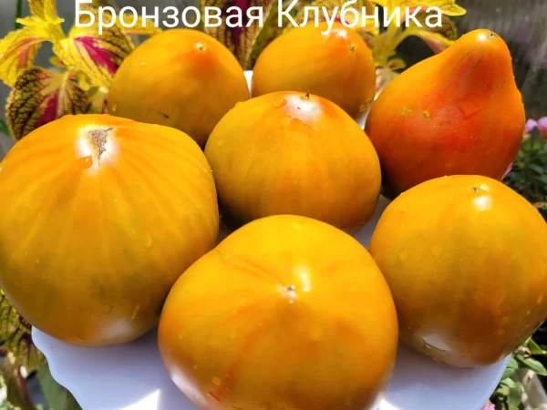 Бронзовая Клубника — изображение 2