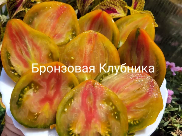 Бронзовая Клубника — изображение 3