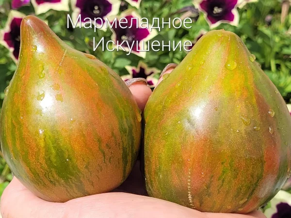 Мармеладное Искушение — изображение 2