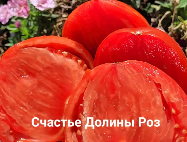 Счастье Долины Роз — изображение 2