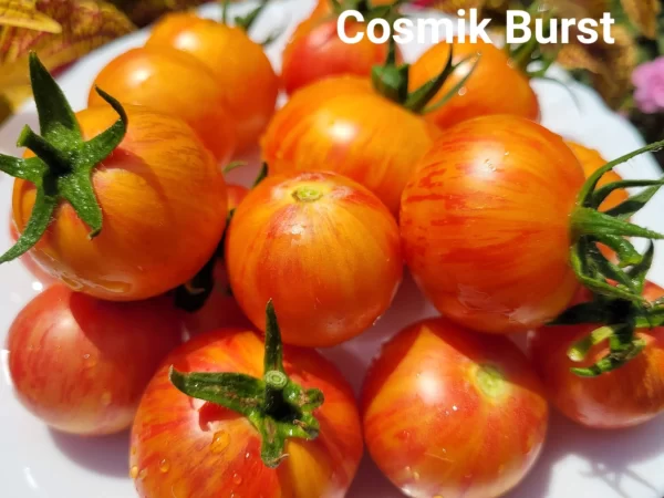 Cosmic Burst Космический Взрыв