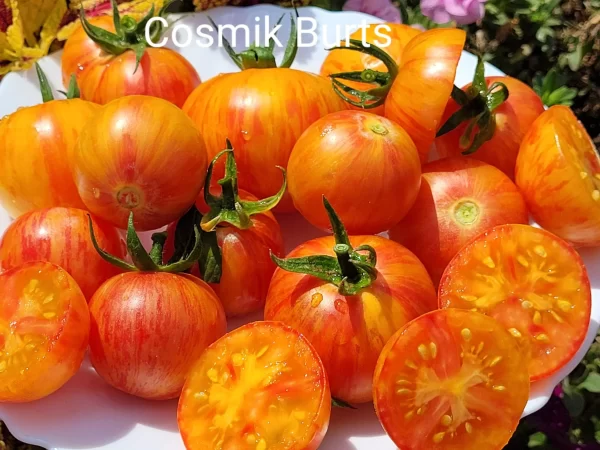 Cosmic Burst Космический Взрыв — изображение 2