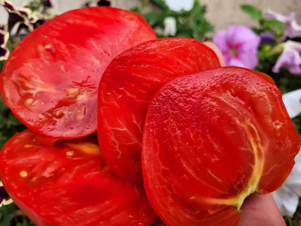 Бабушкино Наследие Крупные — изображение 3
