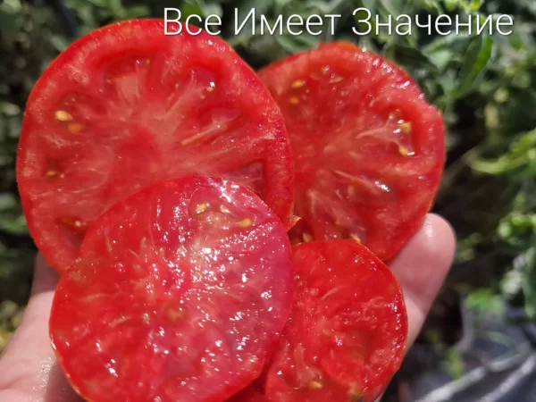 Everything Counts  Все имеет значение — изображение 2