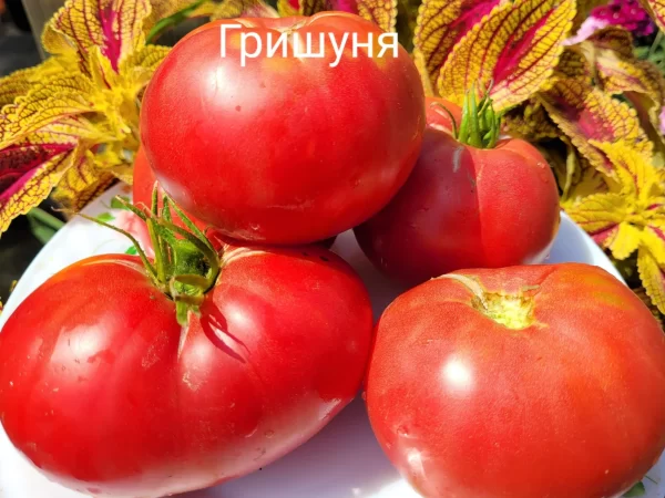Гришуня