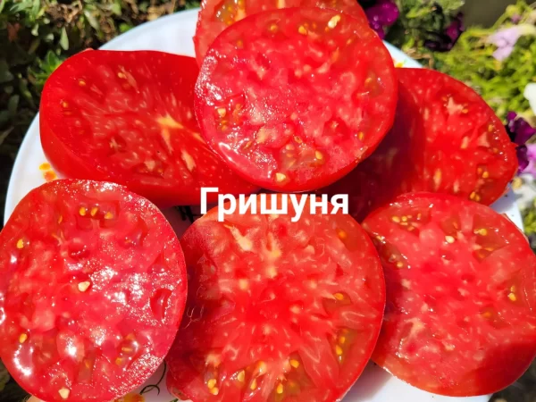Гришуня — изображение 2