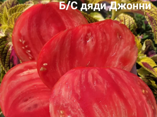 Uncle Johnny's Giant Italian Oxheart (Гигантское итальянское бычье сердце дяди Джонни) — изображение 2