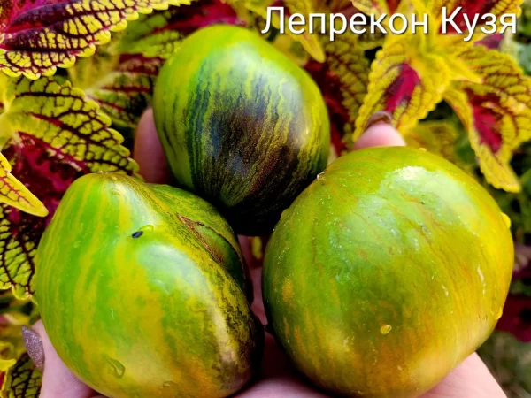 Leprechaun Kuzya - Лепрекон Кузя — изображение 2
