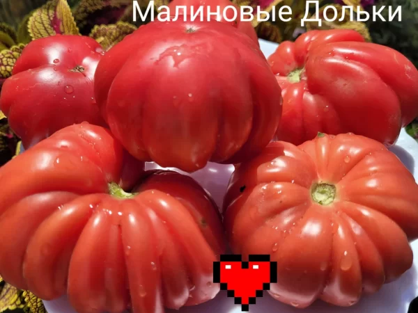 Малиновые Дольки