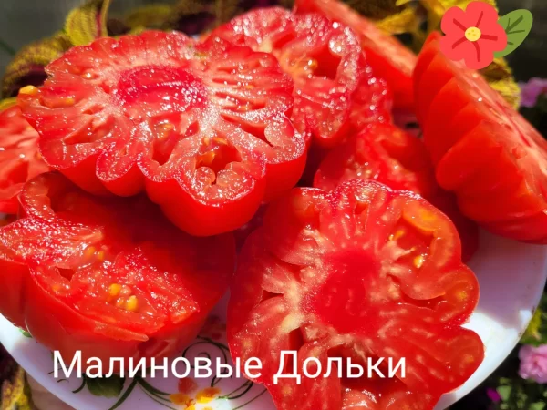 Малиновые Дольки — изображение 2