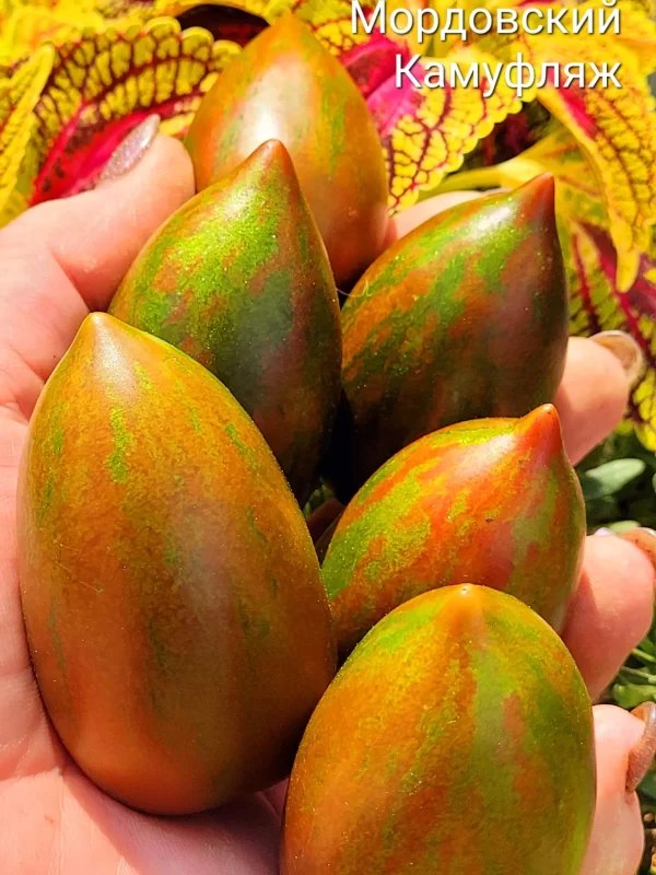 Мордовский Камуфляж