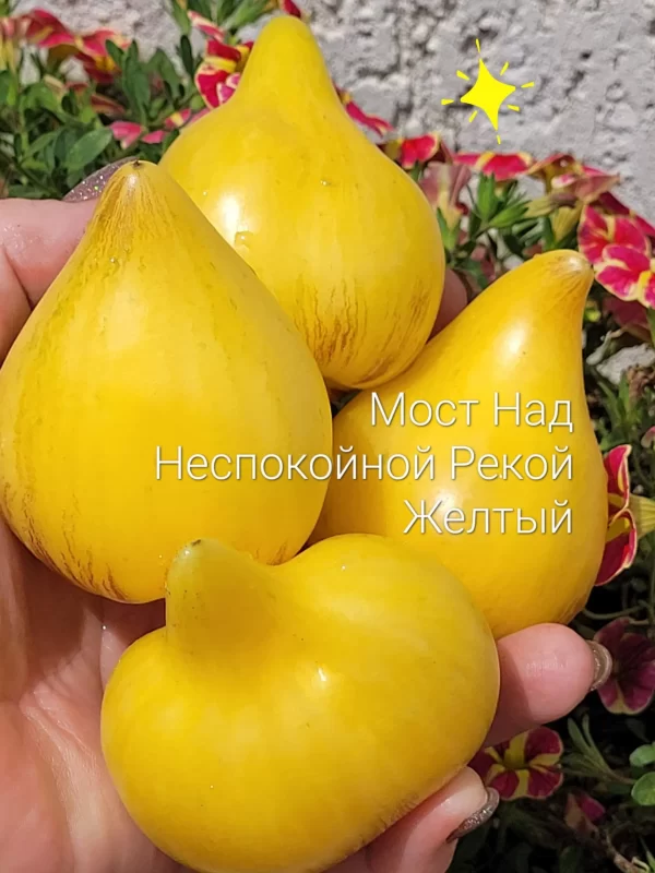Мост над  Неспокойной Рекой  желтые
