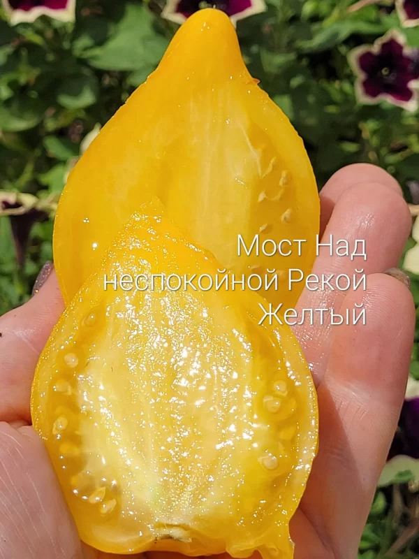 Мост над  Неспокойной Рекой  желтые — изображение 2