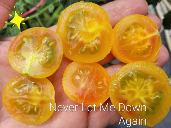 Never Let Me Down  Никогда Не Подводи Меня — изображение 2