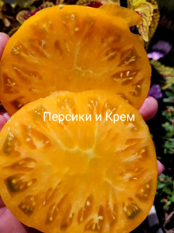 Персики и крем (Peaches and Cream) — изображение 2