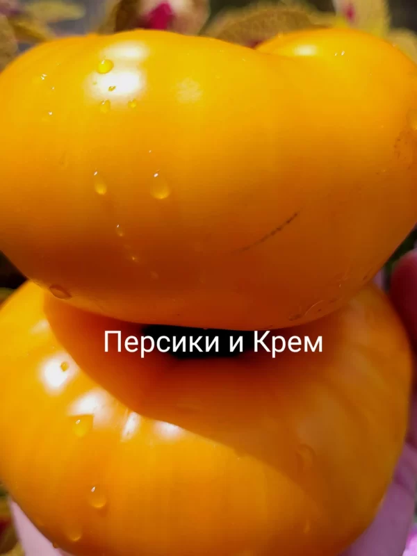 Персики и крем (Peaches and Cream)