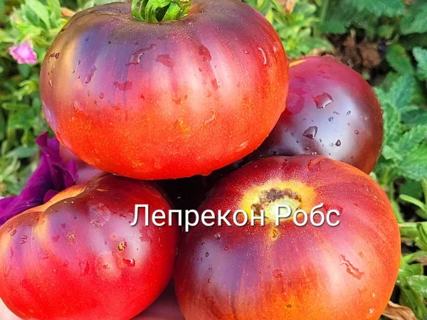 Leprechaun Robs - Лепрекон Робс