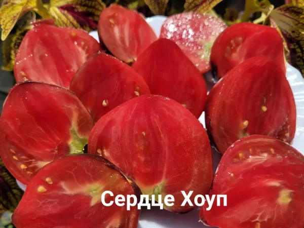 Hope’s heart  / Сердце Хоуп — изображение 2
