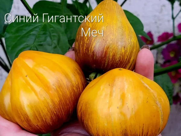 Синий Гиганский Меч